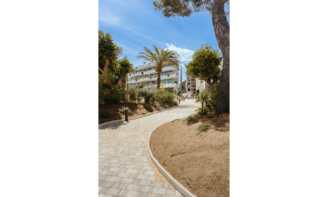 Nouvelle construction - Appartement -
Alfaz del Pi