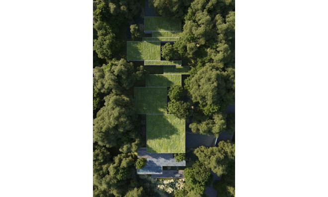 Obra nueva - Villa -
San Roque