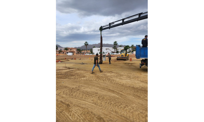 Obra nueva - Adosado -
Pulpí