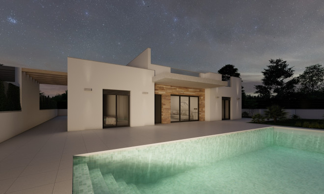 New Build - Villa -
Roldán