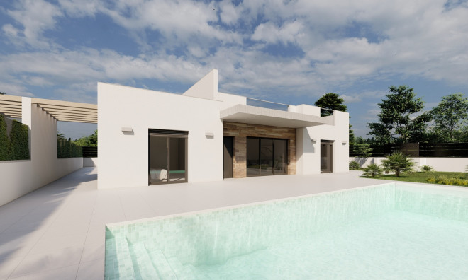 New Build - Villa -
Roldán