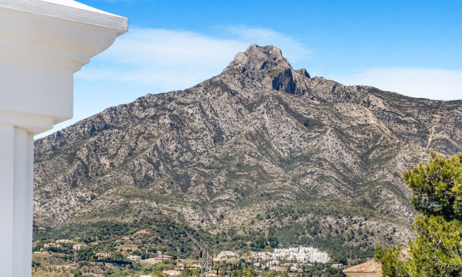 Obra nueva - Villa -
Marbella