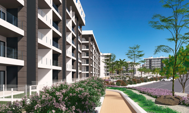 New Build - Apartment / flat -
Torrevieja - Torrelamata - La Mata