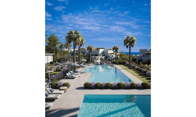 Obra nueva - Apartamento / piso -
Casares Costa