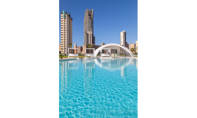 Новое здание - Квартира / квартира -
Benidorm