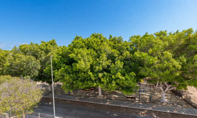 Nouvelle construction - Maison de ville -
Pilar de la Horadada
