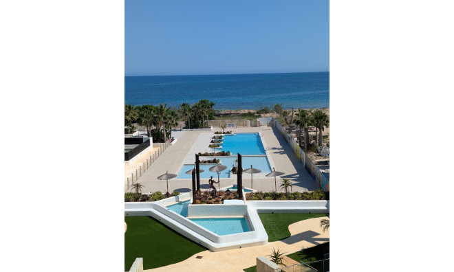 Obra nueva - Apartamento / piso -
Denia - Dénia