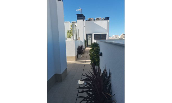 Новое здание - Квартира / квартира -
Torrevieja