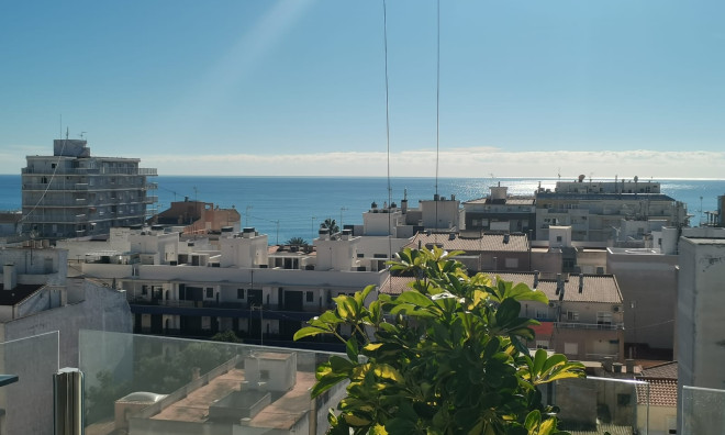 Новое здание - Квартира / квартира -
Torrevieja