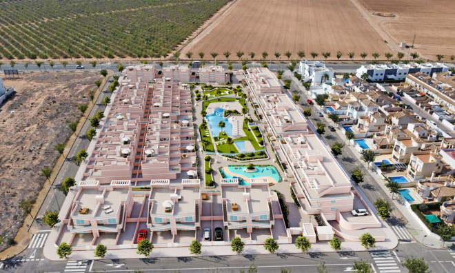 Nouvelle construction - Appartement -
Pilar de la Horadada