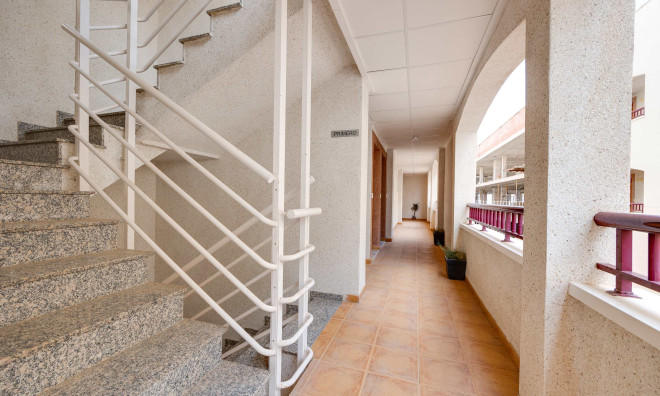 Nouvelle construction - Appartement -
San Fulgencio