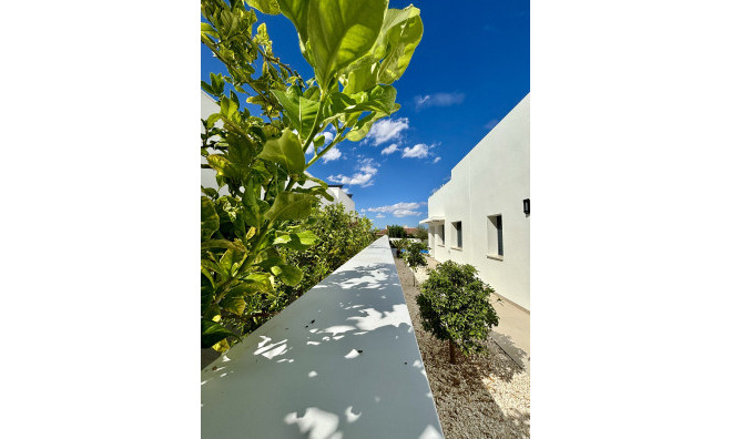 New Build - Townhouse -
Benijofar