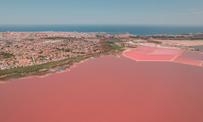 Новое здание - Бунгало -
Torrevieja