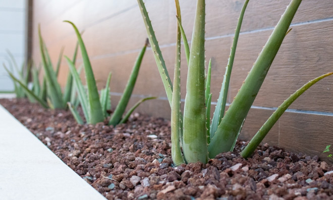 Новое здание - Villa -
Montesinos