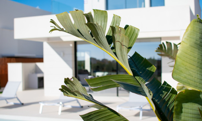 Obra nueva - Villa -
Montesinos