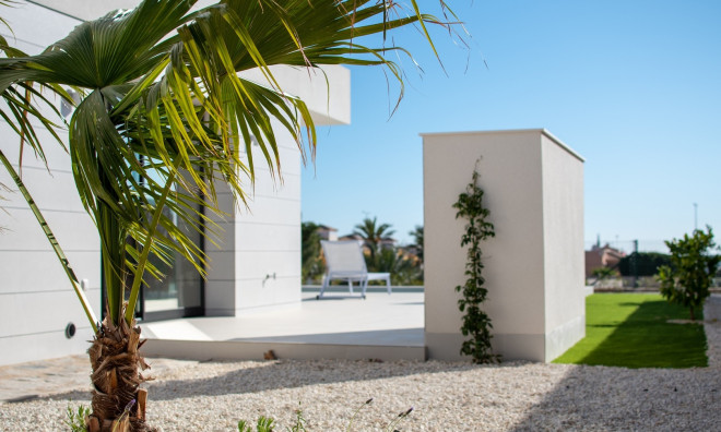 Obra nueva - Villa -
Montesinos