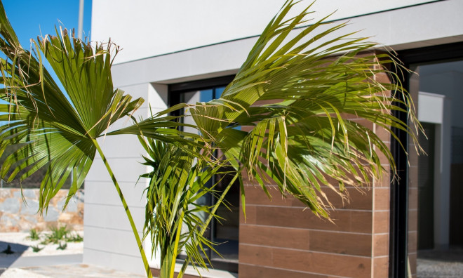 Obra nueva - Villa -
Montesinos