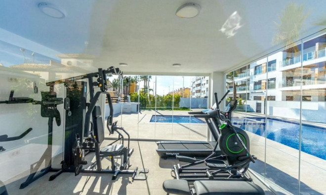 Obra nueva - Ático -
Torrevieja