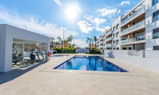 Obra nueva - Ático -
Torrevieja