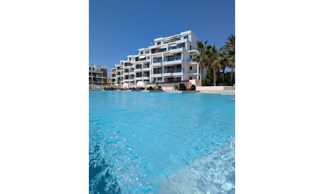 New Build - Apartment / flat -
Denia - Dénia