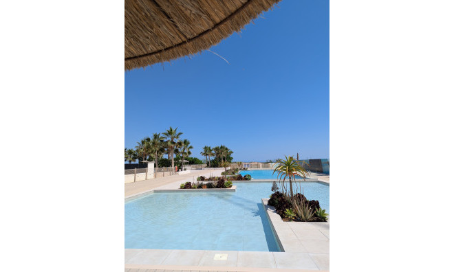 New Build - Apartment / flat -
Denia - Dénia