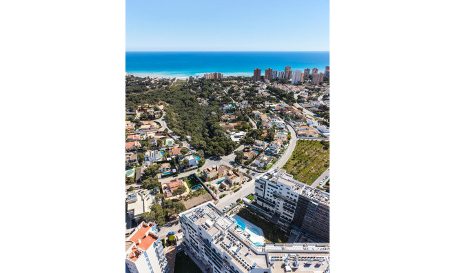 New Build - Villa -
Dehesa de Campoamor