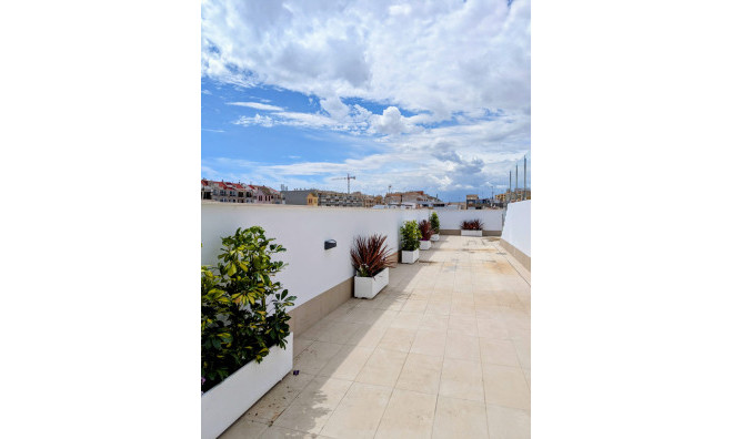 Obra nueva - Apartamento / piso -
Torrevieja
