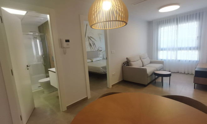 Obra nueva - Apartamento / piso -
Torrevieja