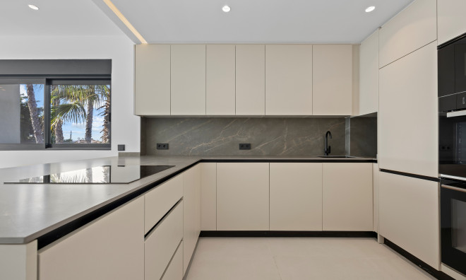 New Build - Penthouse -
El Paraíso