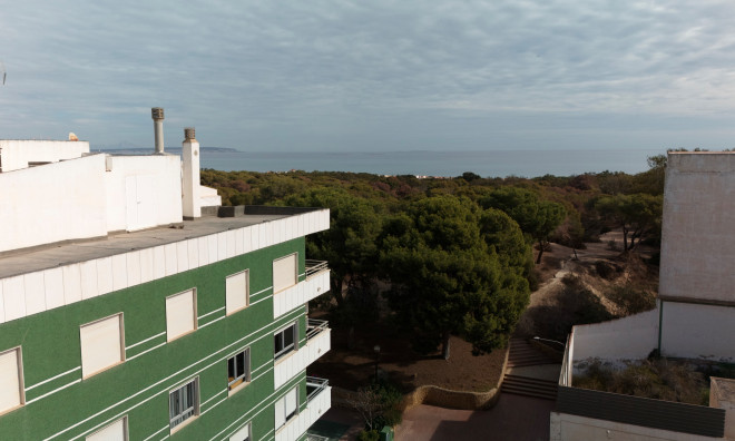 New Build - Apartment / flat -
Guardamar del Segura
