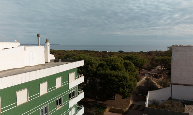 New Build - Apartment / flat -
Guardamar del Segura