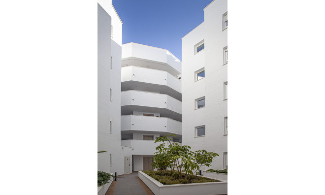 Obra nueva - apartment -
Torrox Costa