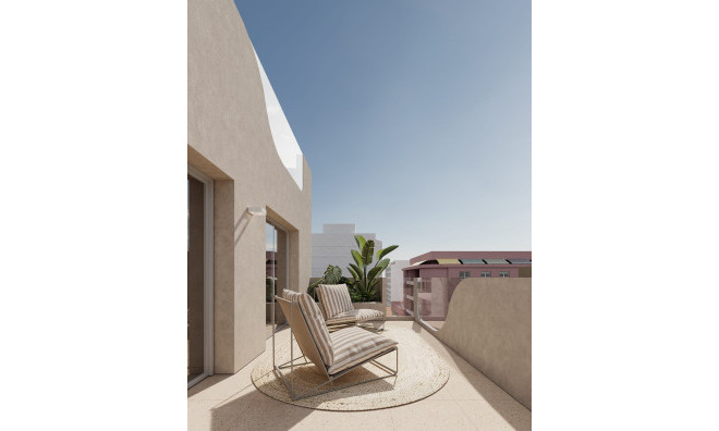 Obra nueva - Apartamento / piso -
Torrevieja