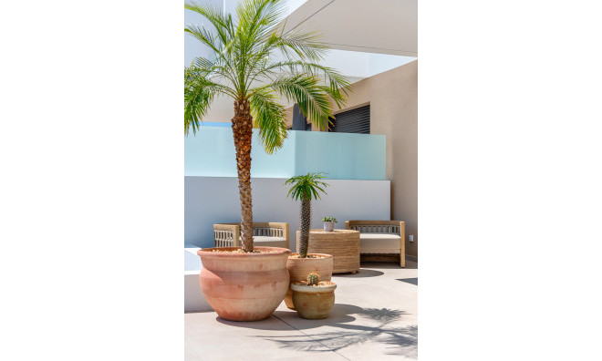 Nouvelle construction - Villa / Jumelée -
Dolores
