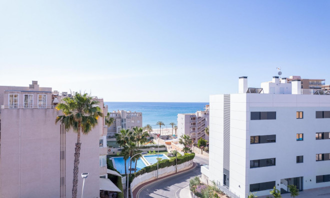 Nouvelle construction - Appartement -
El Campello