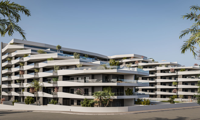 Obra nueva - Apartamento / piso -
San Miguel de Salinas