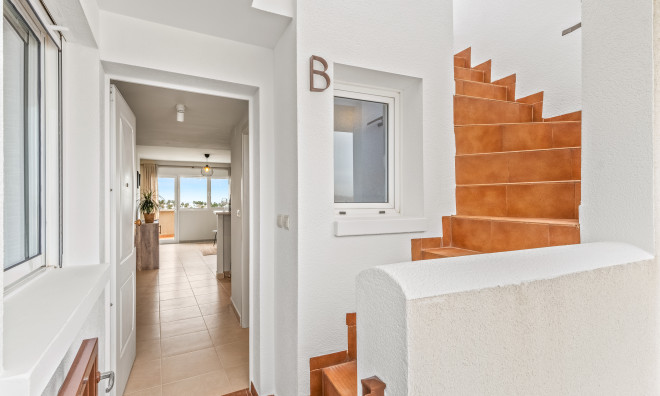 Nieuwbouw Woningen - apartment -
Orihuela