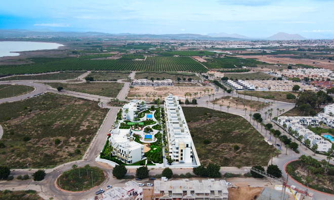 Obra nueva - ground-floor -
Guardamar del Segura