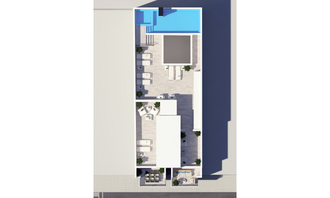 Obra nueva - apartment -
Torrevieja