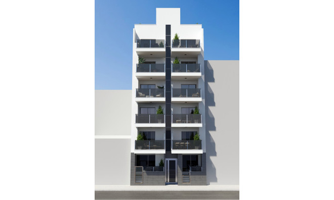 Obra nueva - apartment -
Torrevieja