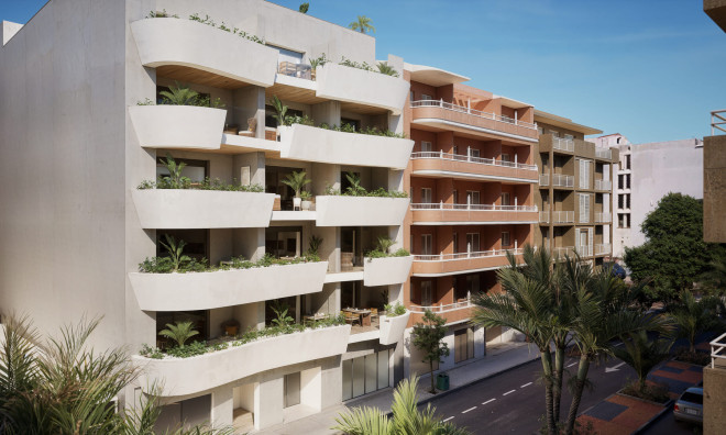 Obra nueva - apartment -
Torrevieja