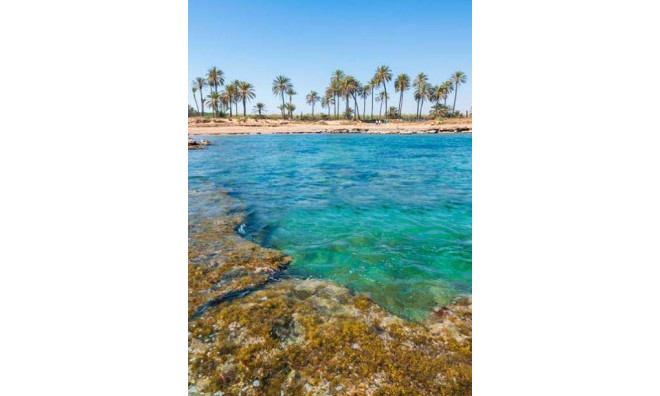 Новое здание - Пентхаус -
Torrevieja